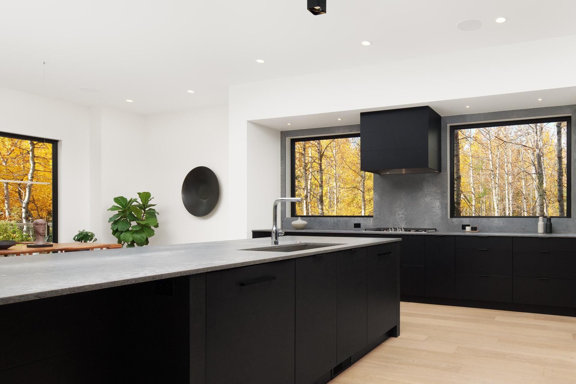 Dramatic Dark Cabinet Statements